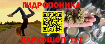 кокс Моздок