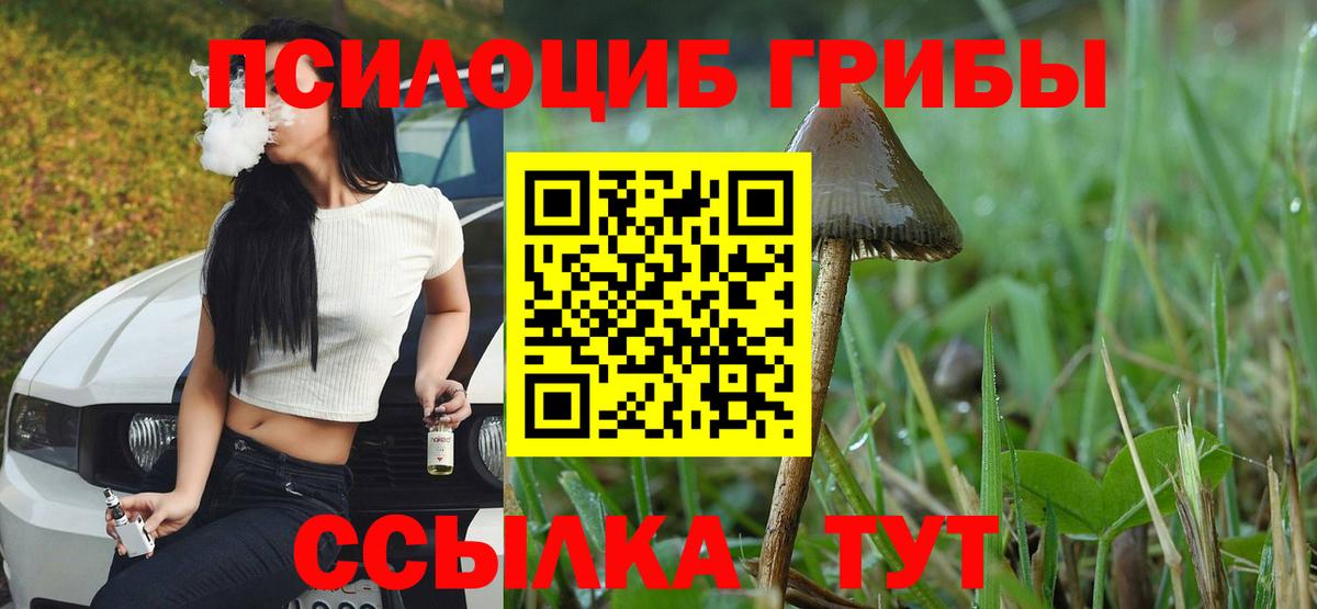 Вятские Поляны  Галлюциногенные грибы мухоморы  Вход с VPN 